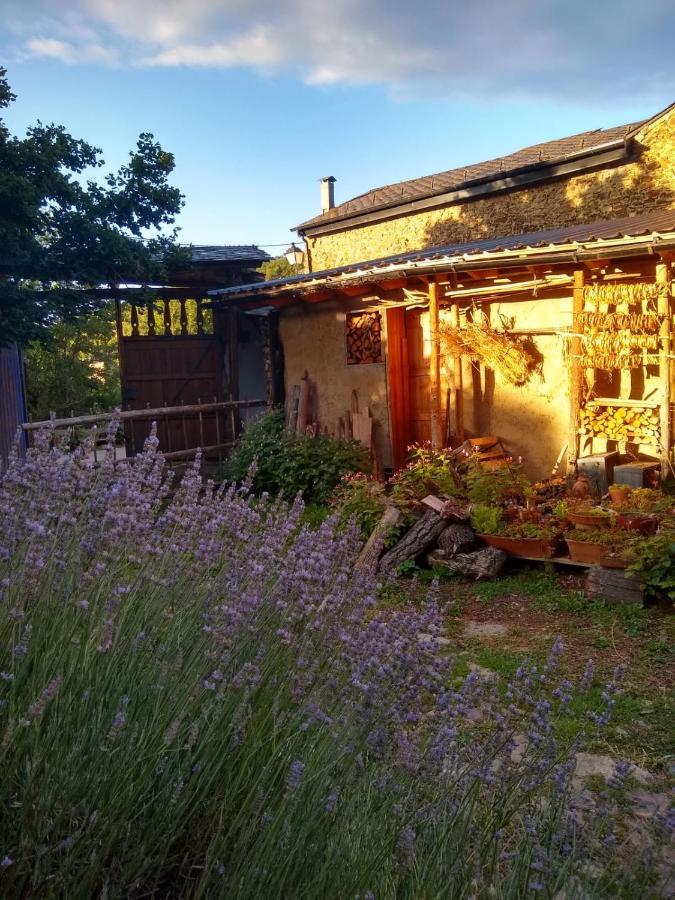 Hostal D'Éller Buitenkant foto